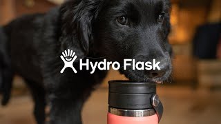 Hydro Flask  Morning Coffee [upl. by Anemix288]