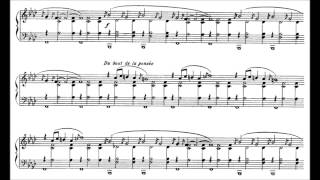 Erik Satie  Gnossienne n°1 Score [upl. by Enerahs629]