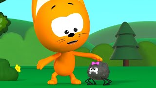 Little Baby Spider  Kote Kitty Meow Meow  nursery rhymes 3D [upl. by Hung]