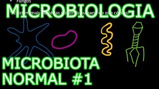 Aula Microbiologia Médica 2  Microbiota Normal 1 [upl. by Corbin]