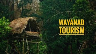 Wayanad tourism  Documentary  Tourist attractions and stories [upl. by Dorcia651]