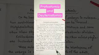 protostomia and deuterostomia zoology biology shortsfeed shorts ytshorts [upl. by Enida]