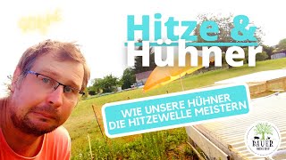 Hühnerhaltung für Anfänger  Hitzewelle im Garten 🌞 [upl. by Inahteb]