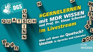 Gebärdefassung Was soll denn der Quatsch Unsinn in Sprache und Literatur  gernelernen  MDR [upl. by Absalom766]