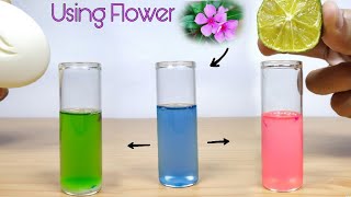 How to make colour changing Acid base indicator using common flower [upl. by Anneehs]