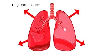 شرح الامتثال الرئوي compliance of lungs [upl. by Einattirb]