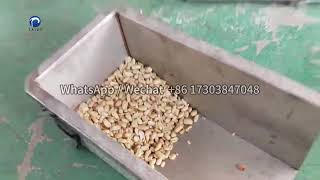 Peanut Flour Making Machine  Pistachio Powder Grinder [upl. by Onailimixam281]