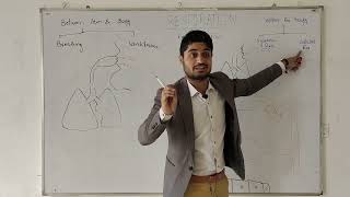 Respiration for Medical and bs students  types of respiration  Breathing ventilation  by Dr Aqib [upl. by Anawt]