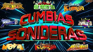 MIX CUMBIAS PERRONAS PARA BAILAR 2024 🎶 MIX EXITOS CUMBIAS SONIDERAS 2024 💃 QUINTANNA LOS TEPOZ 2 [upl. by Michaeu]