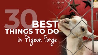 30 Best Things to Do in Pigeon Forge Attractions Ranked [upl. by Byron]