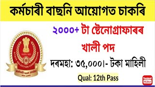 SSC Stenographer Recruitment 2024  Apply Online for 2000 Vacancy 12th Pass may Apply [upl. by Cahra5]