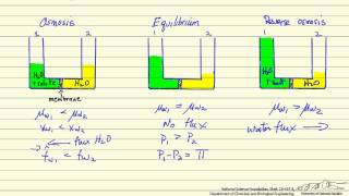 Reverse Osmosis [upl. by Sudoeht]