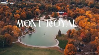 Le Mont royal 🇨🇦 … un défi plus grand que prévu [upl. by Bean]