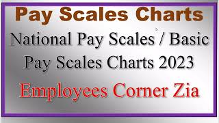 National Pay Scales Charts 2023  Basic Pay Scales Charts 2023  BPS Charts 2023 Download  ECZ [upl. by Aihtekal]