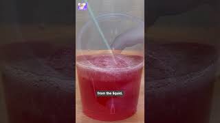 Extracting Strawberry DNA A Simple Explanation learnwithfun [upl. by Gayelord]