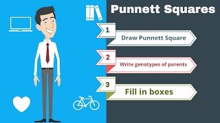 Punnett Squares the basics [upl. by Clothilde]