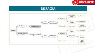 GASTROENTEROLOGÍA Disfagia  Estudios MYC [upl. by Akeret]