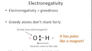 How To Tell if a Bond is Polar or Nonpolar the super easy way [upl. by Torrey]