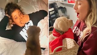 New Puppy Surprise Compilation 2023  Wholesome Surprise Moments [upl. by Anneehs697]