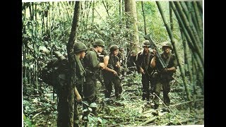 The Strange Ambush of Team Rock Mat Vietnam 1970 [upl. by Yesrod562]