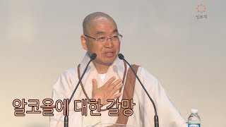 법륜스님의 즉문즉설 제 1432회 알코올에 대한 갈망 [upl. by Newhall]