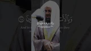 إن المتقين في جنات و عيون القرآنالكريم quran سعودالشريم راحةنفسية تلاوات آيات تجويد [upl. by Parette67]