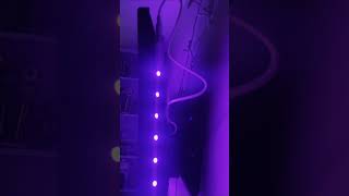 LED TV Backlights [upl. by Morlee]