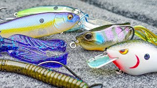 Top 5 Baits For June Bass Fishing [upl. by Palgrave339]