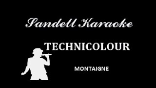 Montaigne  Technicolour Karaoke [upl. by Edahc717]