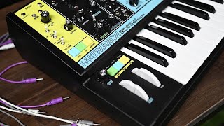 Moog Matriarch SemiModular Analog Synthesizer  Overview amp Demo [upl. by Ahsehyt]