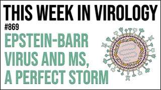 TWiV 869 EpsteinBarr virus and MS a perfect storm [upl. by Asiled]