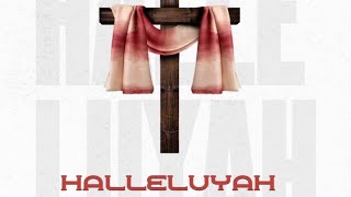 Boakye Mingle ft Holy Assassin  Hallelujah Official Lyrics Video [upl. by Buiron]