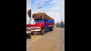 Kabankalan City Season of Sugarcane Harvest  Truck Hauler sa Negros [upl. by Nickolai]