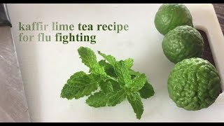 Kaffir Lime Honey Tea Recipe for Flu Fighting มะกรูด [upl. by Saberio]