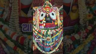 Bachhi bachhi adare je tulasi patara 🙏⭕‼️⭕🙏jay jagannath [upl. by Netsoj252]