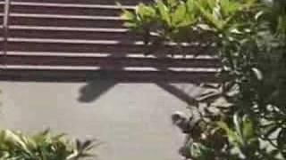 Nyjah And Ahbi Huston Element  Tricks Part [upl. by Adnilim]