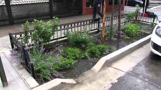 NYC Green Infrastructure [upl. by Chretien]