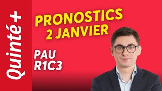 PRONOSTICS QUINTÉ DU 2 JANVIER À PAU  GAGE DE RÉUSSITE SUR SES TERRES [upl. by Krahling]