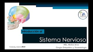 Introducción al Sistema Nervioso Mar 23 [upl. by Roselin]