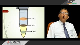 51 Lipoprotein structure chemistry and functions [upl. by Ardnasal]