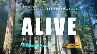 Alive  Big Daddy Weave With Lyrics [upl. by Idnas]