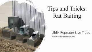 Uhlik Repeater Live Traps  Tips amp Tricks  Rat Baiting [upl. by Niwroc318]