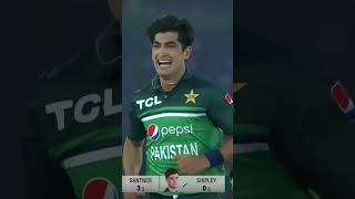 Naseem Shah Superb Spell  Takes 5 Wicket Haul PAKvNZ SportsCentral Shorts PCB MZ2K [upl. by Gney400]