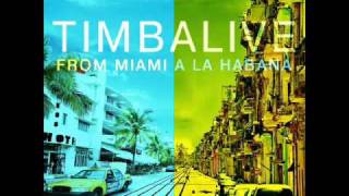 Timbalive  Ave Maria Que Calor [upl. by Sellers]