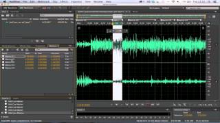 Adobe Audition  Using Markers [upl. by Tews]