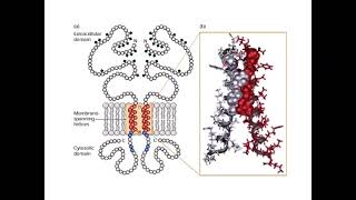 Advanced Cell Biology  Slides 123 [upl. by Aneerehs902]