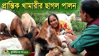 Krishi Chitra কৃষিচিত্র 317 প্রান্তিক খামারির থেকে ছাগল পালন শিখুন । ব্লাক বেঙ্গল ছাগলের খামার। [upl. by Edythe]