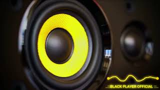 BASS BOOSTED TEST 2024  BASS MUSIC TEST 2024 [upl. by Pamelina]