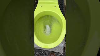 Strange Lime Green Toilet Flushing [upl. by Aggappera977]