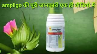 Ampligo insecticide Syngenta [upl. by Skricki]